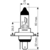 Lampe H4 12V60/55W HD_1