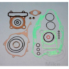 Complete gasket / seal kit P400485850257_1