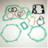 Complete gasket / seal kit P400485850116_1