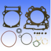 Gasket set topend P400485600041_1