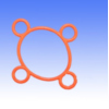 Cylinder head gasket internal_1