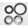Wheel bearing and seal kit WBK127_1
