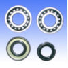 Crankshaft bearing kit P400130444005_1