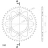 13813AR45_1