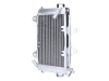 Radiator Kühler handgefertigt für KTM 125 Duke, 390 Duke NK800.18