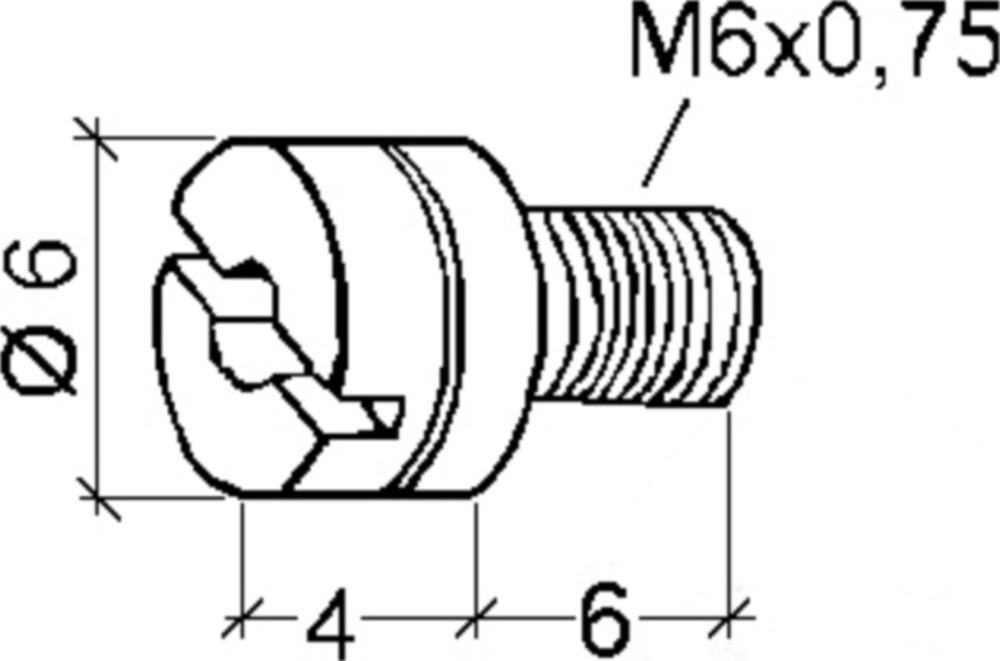 Vergaserdüse Polini M6 x 0,75 / Dellorto 6mm