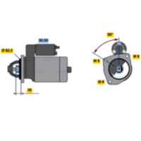STARTER MOTOR 2117