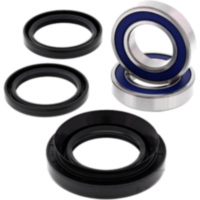 Wheel bearing kit all balls racing 251029