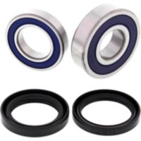 Wheel bearing kit all balls racing 251689