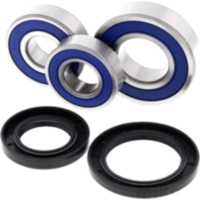 Wheel bearing kit all balls racing