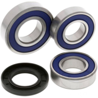 Wheel bearing kit all balls racing 251706