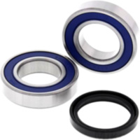 Wheel bearing kit all balls racing 251709