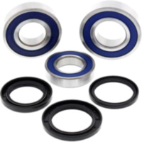 Wheel bearing kit all balls racing 251727