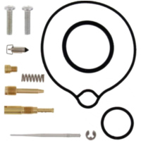 Carburettor repair kit all balls racing 261238