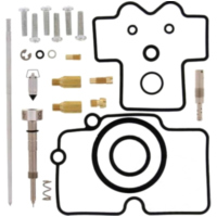 Carburettor repair kit all balls racing 261455