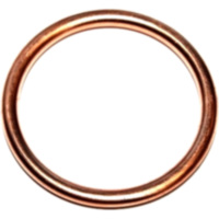 Seal ring 813184