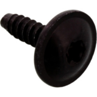 Schraube 38699
