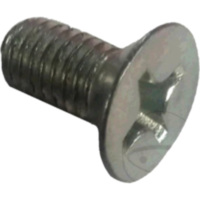 Bolt for brake disc
