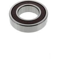 bearing 6005DDU