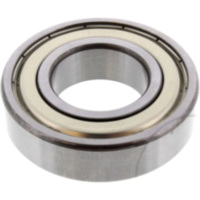 bearing 6206ZZ