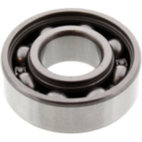 bearing 6202DU