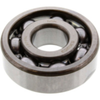 bearing 6302C3