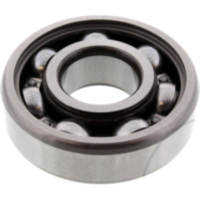 bearing 6304DU