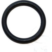 SEALING RING FPM ID 0261