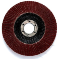 Faecherschleifsch125 k80+