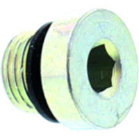 Breather screw. ts-cylinder.