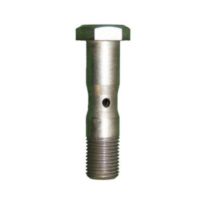 Hollow screw 19x60 mm