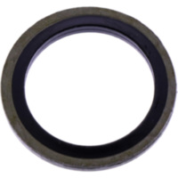 SEAL RING DRUCKBEGRENZUNG