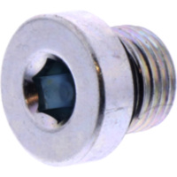 Verschlussschraube M10 x 1