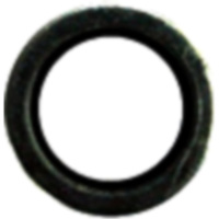 Seal ring for. hollow screw