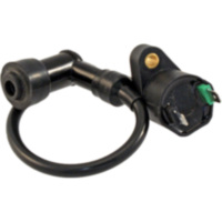 IGNITION COIL WITH SPARK PLUG CAP 0059