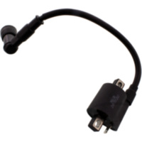 Ignition coil 862907