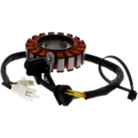 Generator Lichtmaschine Stator 246350250