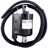 Zündspule Alternative: 7003082