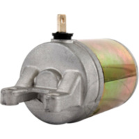 Anlasser Arrowhead Alternative: 7002373