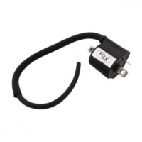 Ignition coil tourmax