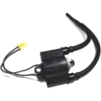 Ignition coil 12v IGN307