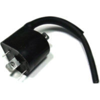Ignition coil 12v rear