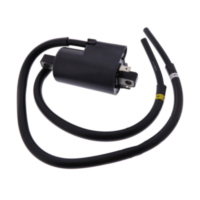 Ignition coil 3341046E00000