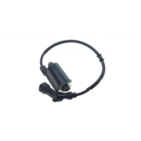 Ignition coil 979281