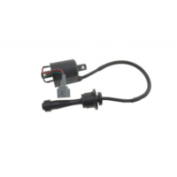 Ignition coil 979290