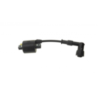 Ignition coil 979295