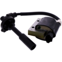 Ignition coil 981057