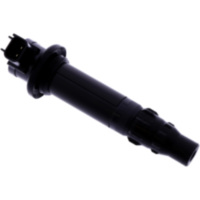 Ignition coil with spark plug cap tourmax