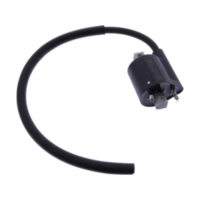 Ignition coil 1105096