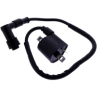 IGNITION COIL WITH SPARK PLUG CAP JMP